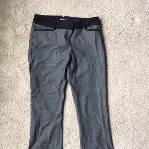 Express Dress Pants